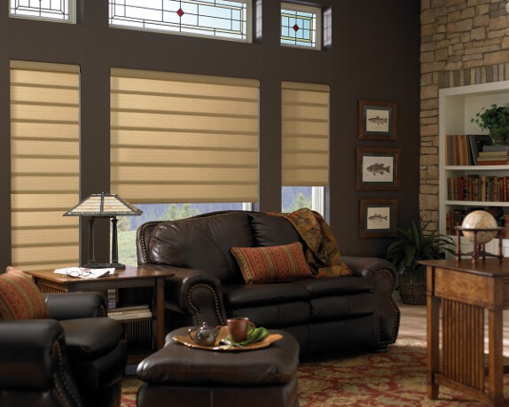 Tailored Vigniette with Easyrise in a living room